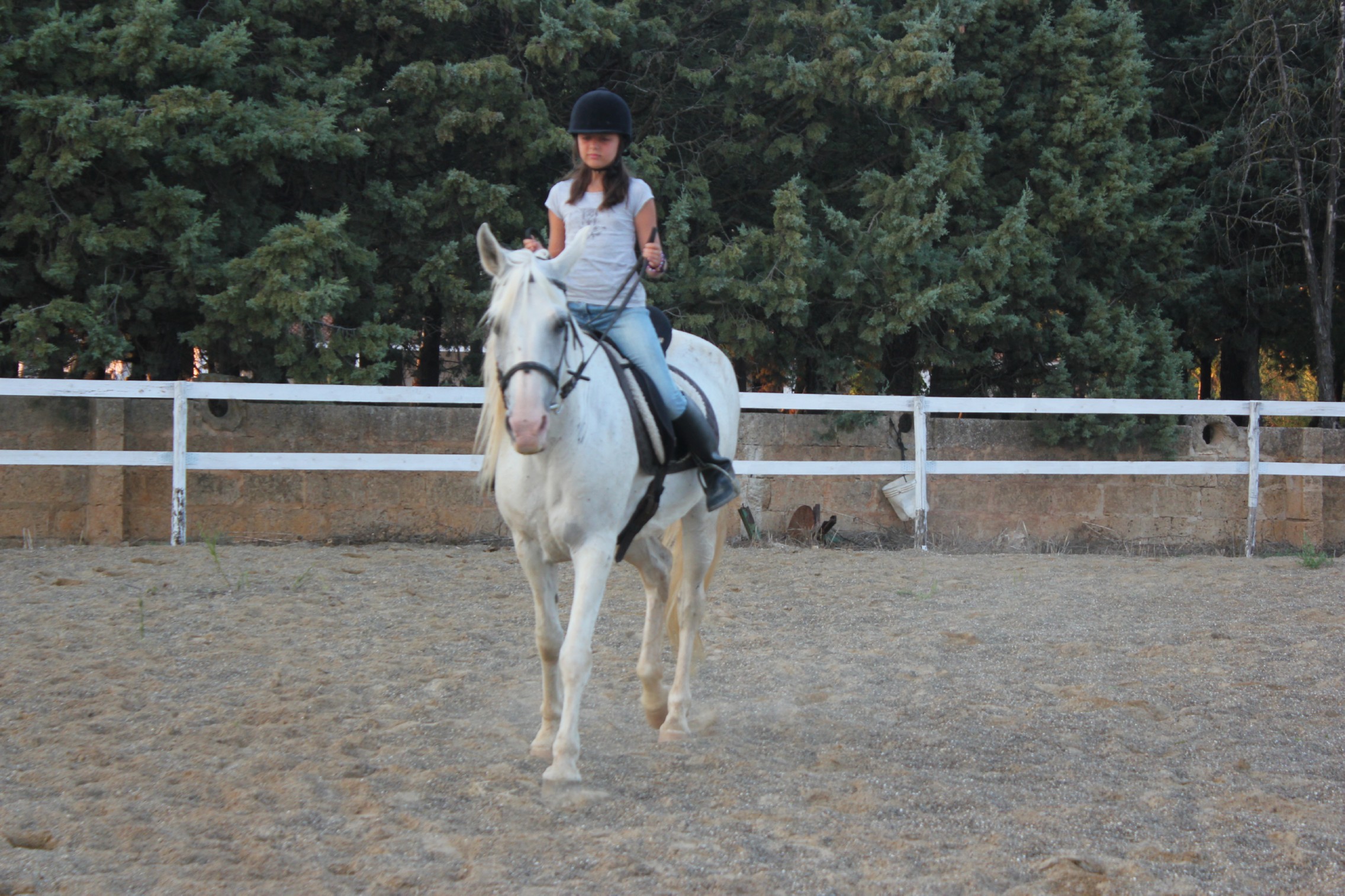 Horse Riding Center