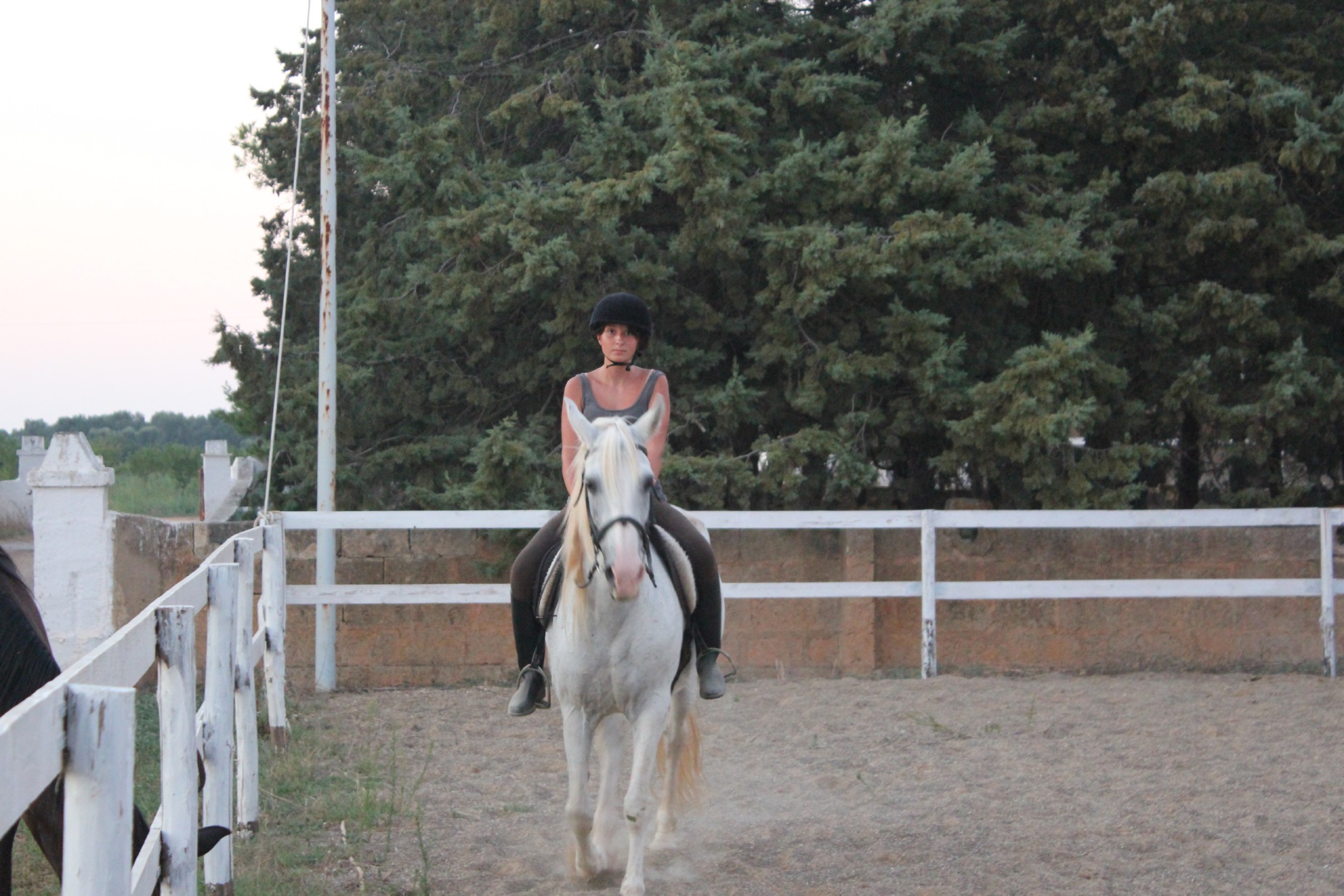 Horse Riding Center